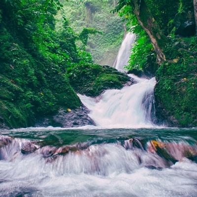 小花仙百度版下载
